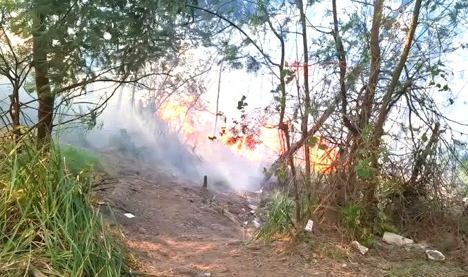 Karhutla Merembet ke Kawasan Ijen