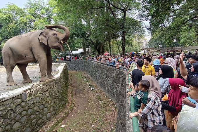 Tiket Masuk Ragunan Diusulkan Naik Jadi Rp10.000