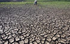 Dampak El Nino, BMKG Keluarkan Peringatan Kekeringan