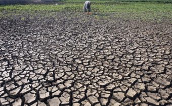 Dampak El Nino, BMKG Keluarkan Peringatan Kekeringan