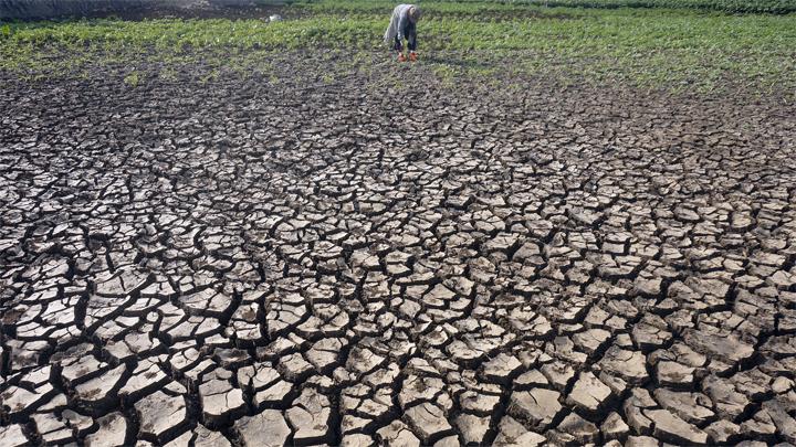 Dampak El Nino, BMKG Keluarkan Peringatan Kekeringan