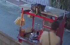Pedagang Mie Ayam Terekam CCTV Diduga Curi Kucing